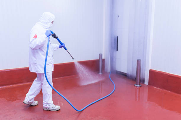 Best Solar Panel Cleaning  in Ten Mile Run, NJ